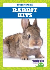 book Rabbit Kits