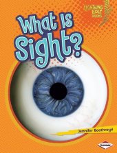 book What Is Sight?