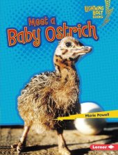 book Meet a Baby Ostrich