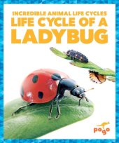 book Life Cycle of a Ladybug