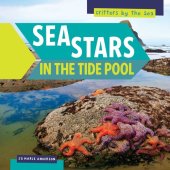 book Sea Stars in the Tide Pool