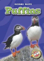 book Puffins