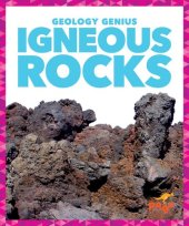 book Igneous Rocks