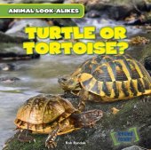 book Turtle or Tortoise?