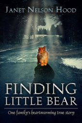 book Finding Little Bear