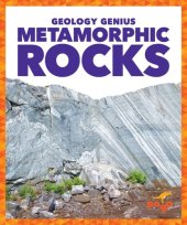 book Metamorphic Rocks