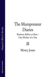 book The Mumpreneur Diaries: Business, Babies or Bust - One Mother of a Year