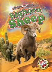 book Bighorn Sheep