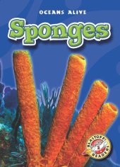 book Sponges