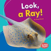 book Look, a Ray!