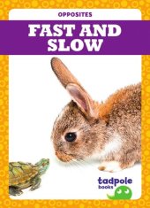 book Fast and Slow