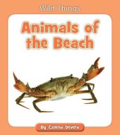 book Animals of the Beach