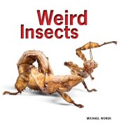 book Weird Insects