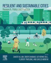 book Resilient and Sustainable Cities: Research, Policy and Practice