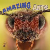 book Amazing Ants