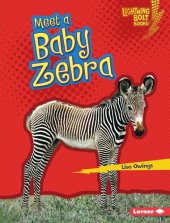 book Meet a Baby Zebra