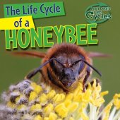 book The Life Cycle of a Honeybee