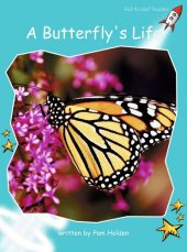 book A Butterfly's Life