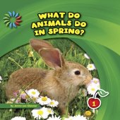 book What Do Animals Do in Spring?