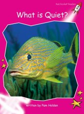 book What Is Quiet?