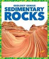 book Sedimentary Rocks