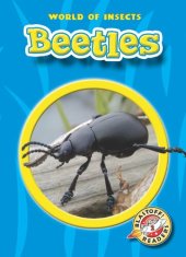 book Beetles