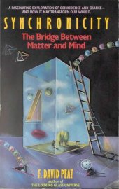 book Synchronicity The Bridge Between Matter and Mind