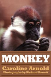 book Monkey