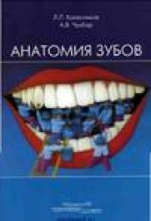 book Анатомия   зубов