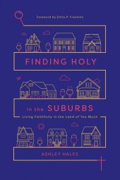 book Finding Holy in the Suburbs: Living Faithfully in the Land of Too Much