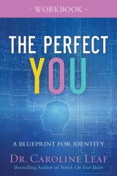 book The Perfect You Workbook: A Blueprint for Identity