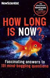 book How Long is Now?