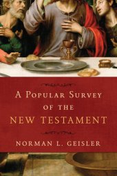 book A Popular Survey of the New Testament