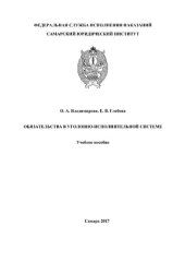 book Обязательства в уголовно-исполнительной системе