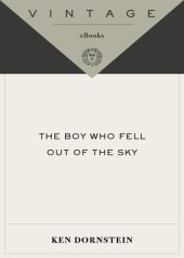 book The Boy Who Fell Out of the Sky