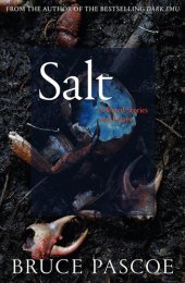 book Salt: Selected Stories and Essays