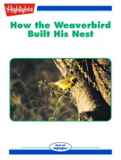 book How the Weaverbird Built His Nest