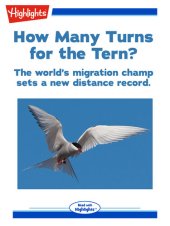 book How Many Turns for the Tern?