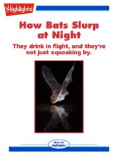 book How Bats Slurp at Night