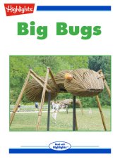 book Big Bugs