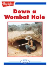 book Down a Wombat Hole