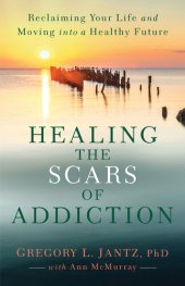 book Healing the Scars of Addiction: Reclaiming Your Life and Moving into a Healthy Future