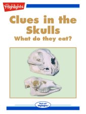 book Clues in the Skulls