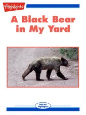 book A Black Bear in My Yard