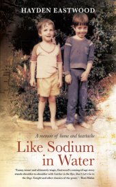 book Like Sodium in Water: A memoir of home and heartache