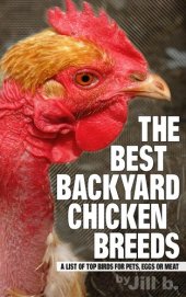 book The Best Backyard Chicken Breeds: A List of Top Birds for Pets, Eggs and Meat