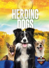 book Herding Dogs