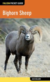 book Bighorn Sheep