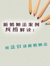 book 新婚姻法案例纠纷解读 (The new Marriage Law Dispute Cases Interpretation): 听法官讲新婚姻法 (about the new marriage law)