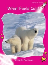 book What Feels Cold?